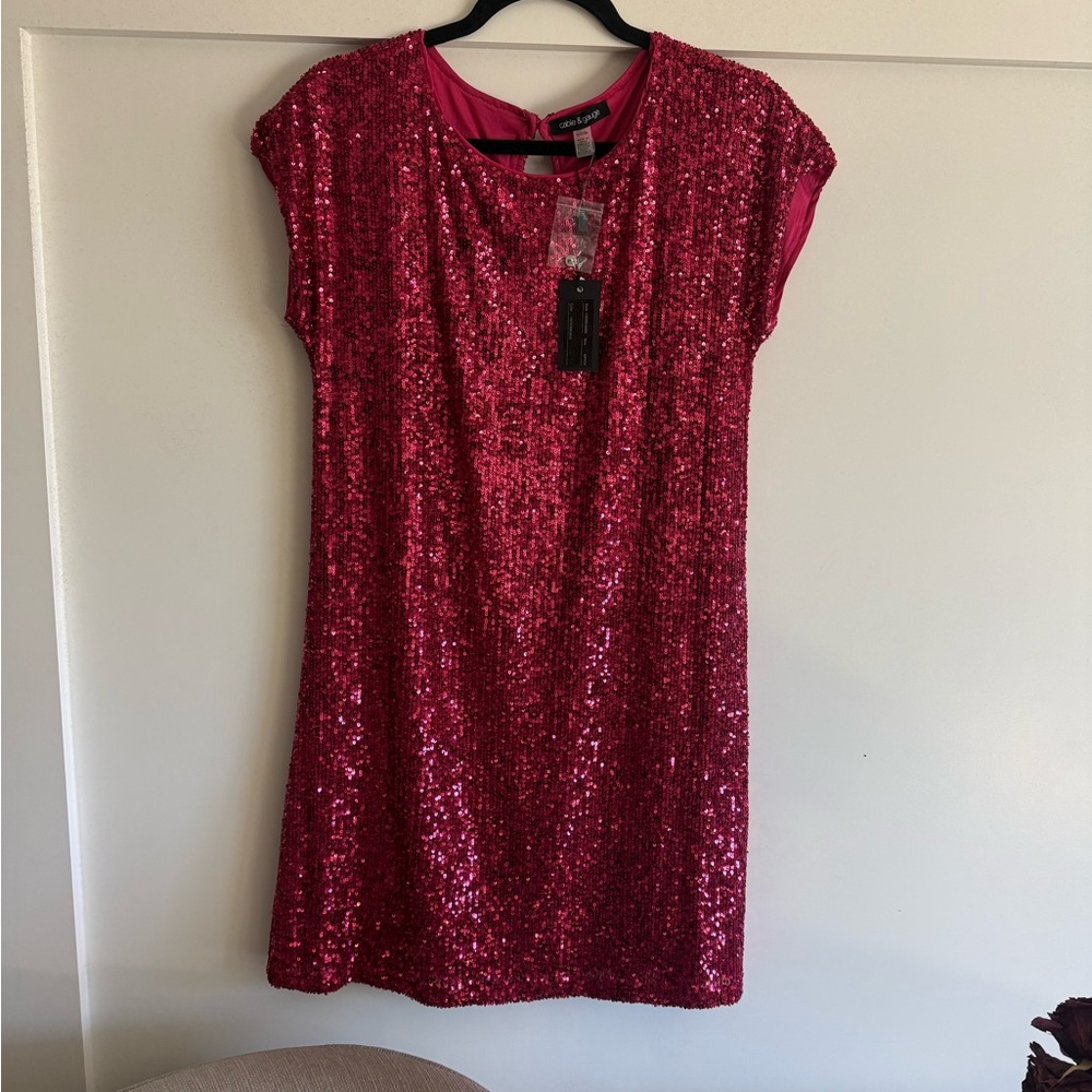 Cable & Gauge Pink Sequin Mini Dress